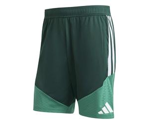 Short Training Algérie Coupe du Monde 2026 Vert M Male