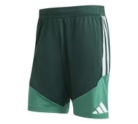 Short Training Algérie Coupe du Monde 2026 Vert XL