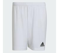 Shorts Adidas ENT22 Blanc HG6295