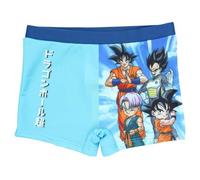Shorts de Bain Dragon Ball Super - Swimsuit Dragon Ball Super (FR/ES, Âge, 12 Ans, Taille Normale, Ciel-A)