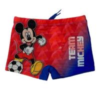 Shorts de Bain Mickey Disney - Swimsuit Mickey Disney (FR/ES, Âge, 4 Ans, 5 Ans, Taille Normale, Bleu-C)