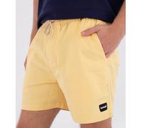 Shorts Hommes - Icon Ewalkshort 17'