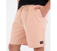 Shorts Hommes - Icon Ewalkshort 19'