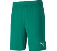 Shorts Puma teamFINAL 21 knit Shorts 4062451294816 taille M EU