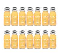Shot de gingembre - pour un délicieux moment de fraîcheur. Bio et végan. SANS sucre SANS additifs. 14 x 60 ml