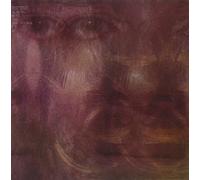 Show Is the Rainbow - Wet Fist