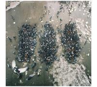 Show Me The Body - Alone Together [Compact Discs]