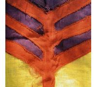 Show Your Bones by Yeah Yeah Yeahs