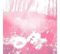 Shower Curtain - Words from a Wishing Well-Clear Vinyl [Import]