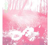 Shower Curtain - Words from a Wishing Well [Import]