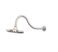 Shower Head Extension Arm Bras d'extension de pomme douche à bride, longueur col cygne Arc élevé en forme S, tuyau, accessoires salle bain(Bright color)