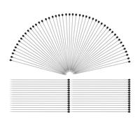 SHOWERORO 100 Épingles à Insectes en Acier Inoxydable Taille 0 pour Collection et Dissection Entomologique, Lot de 100 Pièces Argentées, Matériel Entomologie Scolaire