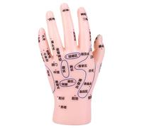 SHOWERORO Modèle D'affichage Précis des Points D'acupuncture Main en Pvc Rose, Simulation Réaliste pour Enseignement Tcm et Institutions Médicales, Outil Éducatif pour Étudiants Débutants