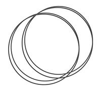 Showingo Joints toriques de rechange pour couvercles Gamma2 Vittles Vault de 30,5 cm (seaux de 3, 5 et 28 gallons) - Lot de 4