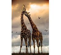 Showker DIY Broderie Diamant Kit Complet Afrique Girafe, 5D Diamond Painting Complet Prairies Animaux Rond Point De Croix Broderie Décoration Chambre Bureau Murale À La Maisonr 30x40cm
