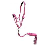 Showman Pony Licol en nylon tressé avec nœud de cowboy Rose