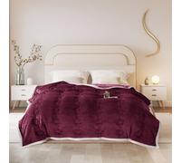 ShowyLive Couverture Polaire Flanelle Douillette 810gsm pour Chambre Canapé, Grand Chaud et Doux en Peluche Plaid Fourrure pour l'hiver (Rouge, 200 x 230 cm)