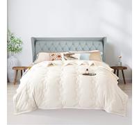 ShowyLive Couverture Polaire Flanelle Douillette 810gsm pour Chambre Canapé, Grand Chaud et Doux en Peluche Plaid Fourrure pour l'hiver (Beige, 200 x 230 cm)