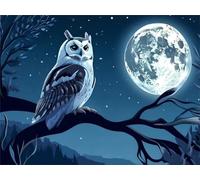 Shozhoo Peinture par Numero Adulte, DIY Peinture Enfant Acrylique avec Peintures et Pinceaux, Loisirs Créatifs Adultes 50x40cm Peinture Numero d'art, Décoration de la Maison Chouette de lune s-12368