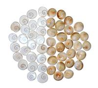 Shree Shyam Gemstones Set of 100 Pcs Gomti Chakra Lot 5mm to15mm Sizes Gomti Chakra
