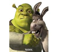 Shrek (Donkey 60 x 80 cm Toile Imprimée