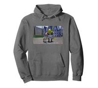 Shrek Iconic Donkey & Shrek Photo Scene Big Chest Poster Sweat à Capuche, Unisexe pour Adultes, Asphalte, L