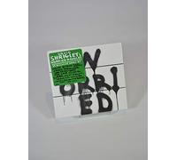 Shrigley, David - Worried Noodles
