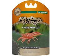 Shrimp King Cambarellus