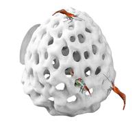 Shrimp Shelter - Shrimps Hides For Aquarium | Porous Aquarium Hideouts | Landscaping Fish Tank Ornaments | Stable Aquatic Decor With Shrimp Shelter | Fish Tank Ornaments Shrimps For Cichlid Hermit