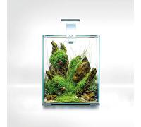Shrimp Smart D&N 20 ECOM Set de Shrimp Blanc