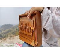 Shruti Box with 13 note Tuned 432 Hertz Padded Carry Bag Made by Teak wood