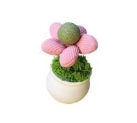 Shuade Plante amusante en pot avec balle à lécher pour chatons, divertissement, pour une utilisation en intérieur et pour promouvoir la santé des dents des chats, jouet de divertissement pour chats