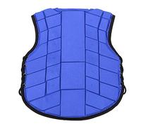 SHUAIGUO Enfants Viette d'équitation - Gilet équestre des Enfants Bleus, Nylon + Mousse, Conception Réglable, Absorption de Choc, Facile à Nettoyer, sécurité (Cm)