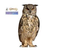 shuhauk Pendentif de protection de jardin pour oiseaux, repousse d'oiseaux, épouvantail repelle-nt, faux hibou, pendentif décoratif avec clochette, épouvantail réaliste en forme de chouette effrayant