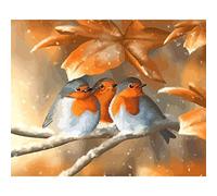 Shukqueen Kit de peinture à l'huile par numéros pour adultes - Trois rouges-gorges oiseaux sur des feuilles - 40,6 x 50,8 cm (cadre en bois à monter soi-même)