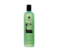 Shunga Gel de Bain et Douche Comestible à la Menthe