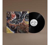 Shungu – Faith in the Unknown – Vinyle – Linder Exclusiv