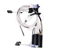 Shuogoufeng Store LR015178 ensemble Module pompe à carburant Automobile Compatible avec RangeRover III 4.4L 6H42-9H307-BB WGS500140 A2C53341995 Pompes à carburant