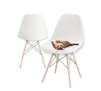 SHUOJIA Housses de chaises de Salle à Manger Modernes et Extensibles, Housses de chaises en Velours scandinave Extensible, pour Décoration de Salon Cuisine Maison (Cream,2pcs)