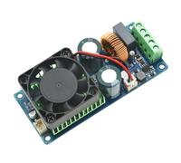 Shurhome Carte d'amplificateur de son mono 500 W haute puissance de sortie pour home cinéma et systèmes audio professionnels HiFi Monos Digital Module d'amplificateur de puissance