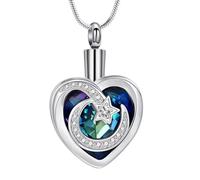 Shurhome Collier urne funéraire avec compartiment décoratif pour sac pour animal de compagnie, boîte à bijoux, urne