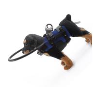 Shurhome Quick Setups Protection de sécurité pour chiens souffrant de troubles oculaires Taille M Tissu simple Empêche les blessures