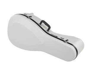 Shuster Shuster Renaissance Lute Case