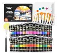 Shuttle Art 48PCS Kit Peinture Arylique 30 * 36ml Tube 10 Pinceaux 5 Toiles