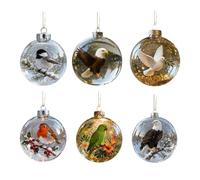 SHUZHENG Ensemble de 6 décorations de Noël en cristal représentant des oiseaux de la nature, collection d'ornements en cristal de merveilles sauvages, ornements de cardinal pour arbre de Noël, cadeaux