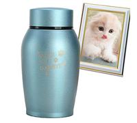 Shxupjn Urne funéraire pour animaux de compagnie - Petite urne souvenir en acier inoxydable pour cendres de compagnie, chats, chiens ou cendres humaines