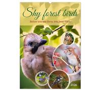 Shy forest birds (Wall Calendar 2026 DIN A2 portrait), CALVENDO 12 Month Wall Calendar: Before you see them, you hear them
