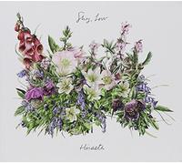 Shy, Low - Hiraeth
