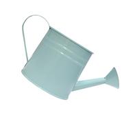 SHYYOULQE Arrosoir décoratif en fer pour plantes - Pots de fleurs robustes pour balcon et terrasse - Décoration de la maison