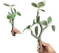 SHYYOULQE Modèle de branche de terrarium, paysage, aquarium, artisanat d'art décoratif pour l'élevage de crevettes, branches de plantes artificielles, paysage, aquariums, décorations